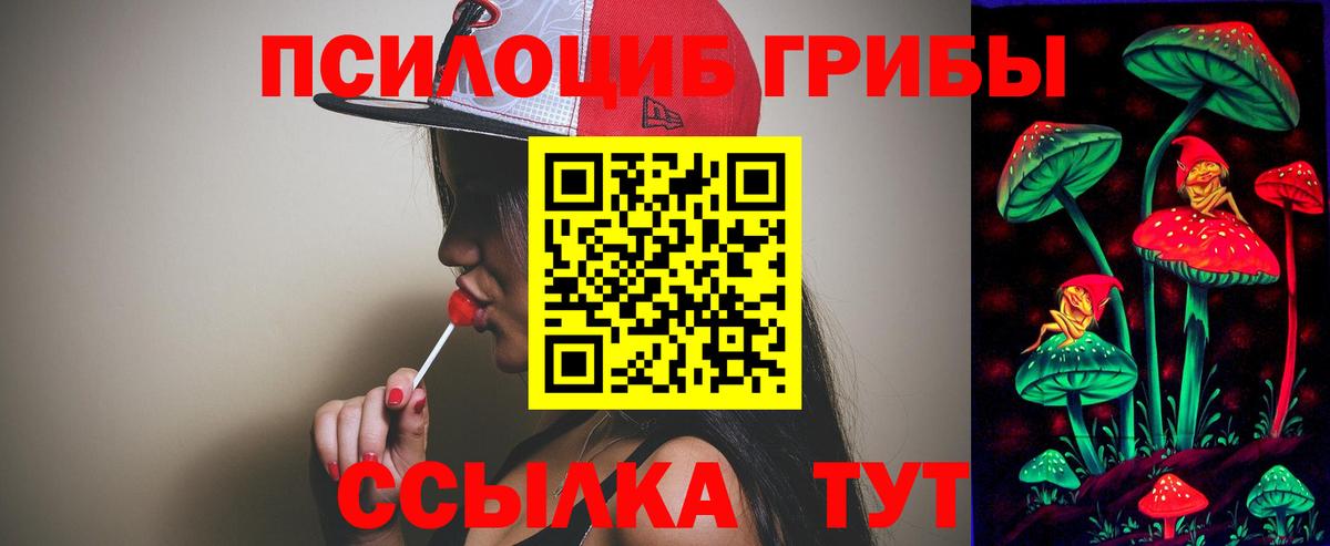 Дзержинский  Псилоцибиновые грибы ЛСД  Вход с VPN 